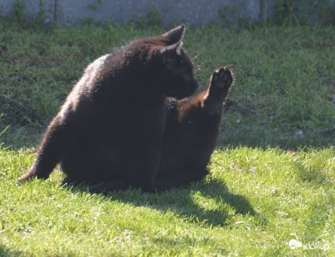 Én ilyet is tudok! :-))