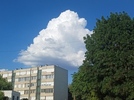 kollerbarbi fotója