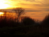 Naplemente