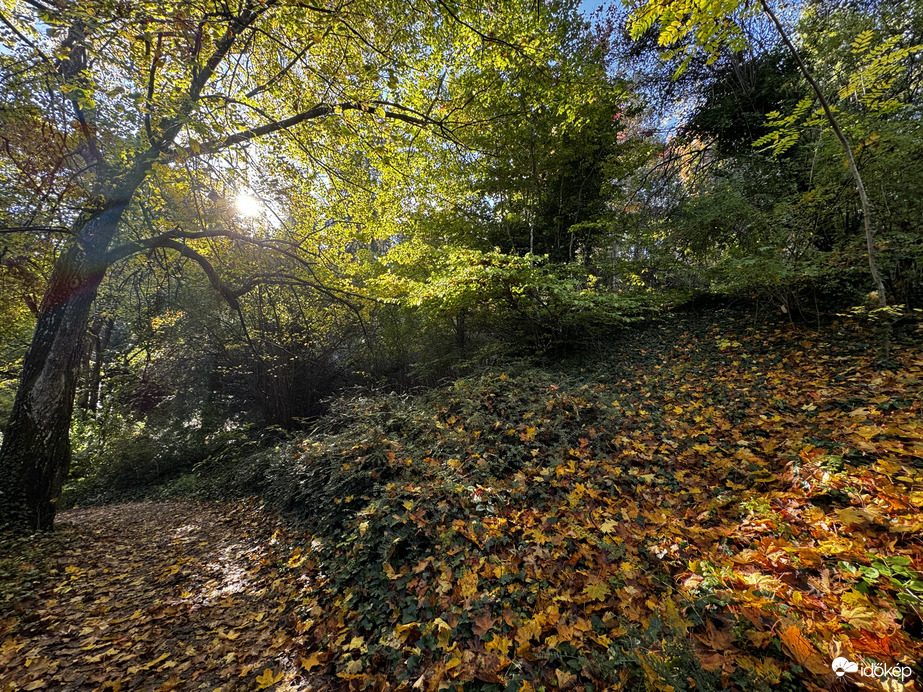 Őszi pannonhalmi arborétum