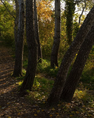 Itt még sütött a nap 