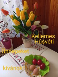 kormos2 fotója