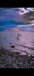 Balatonfüred