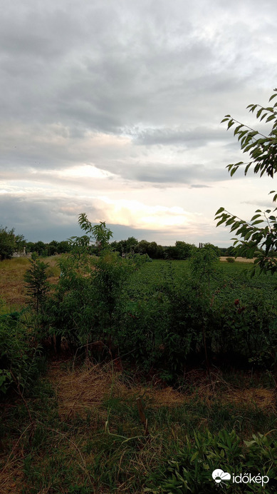 Balogunyom