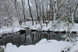 Szentendre, havas Japán kert