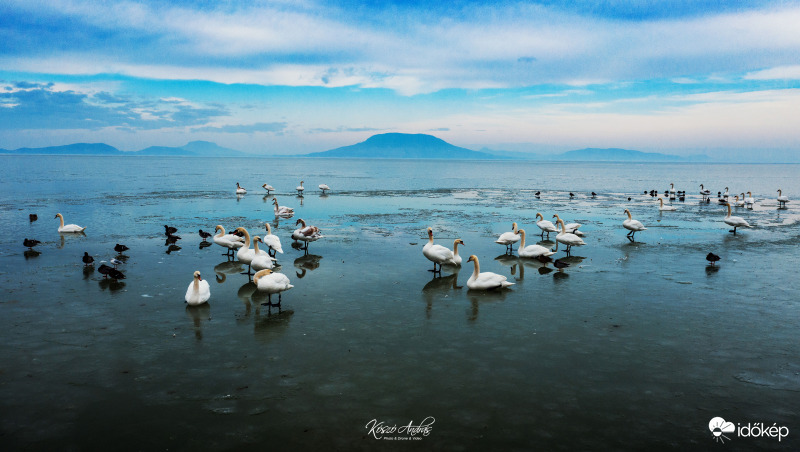 Balatonfenyvesi panoráma