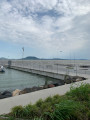 Balatonfenyves
