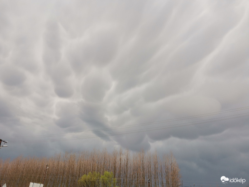 Mammatus