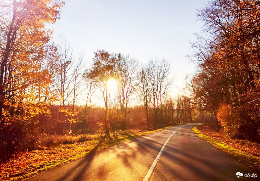 Őszi 