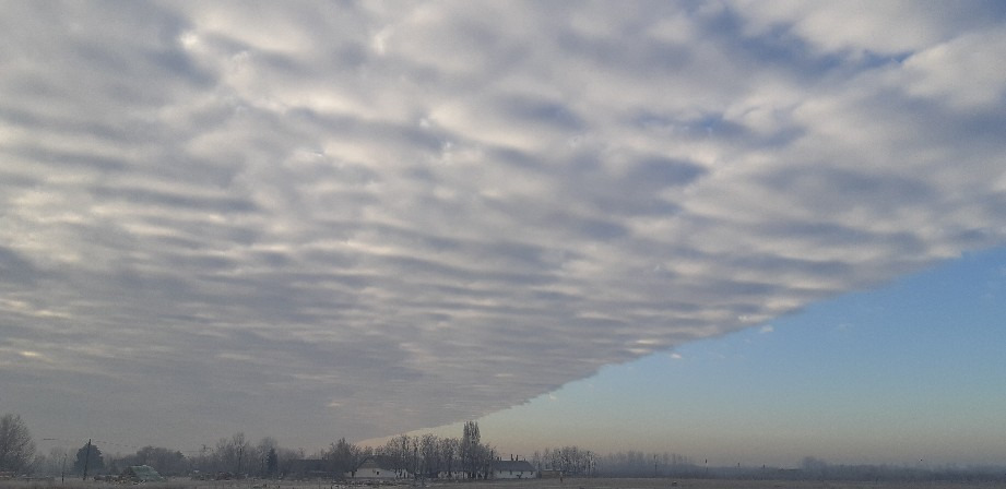 Helvécia