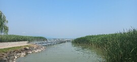 Balatonfenyves