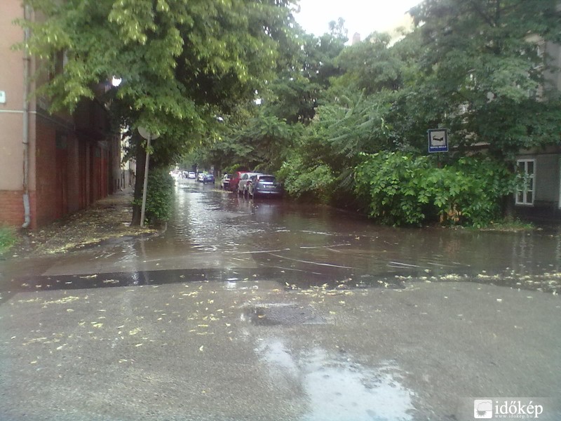 Úszik a SZEGED! III.