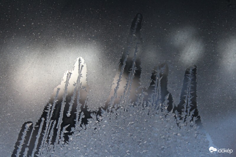 Jégvirág-tüske 2017.01.19.