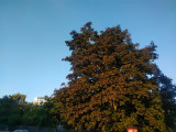 Dunaújváros