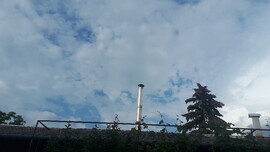 Szarvas