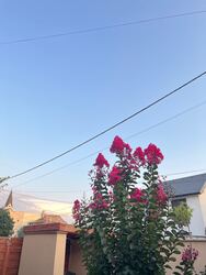 Budapest XX.ker - Pesterzsébet