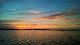 Tisza-tó