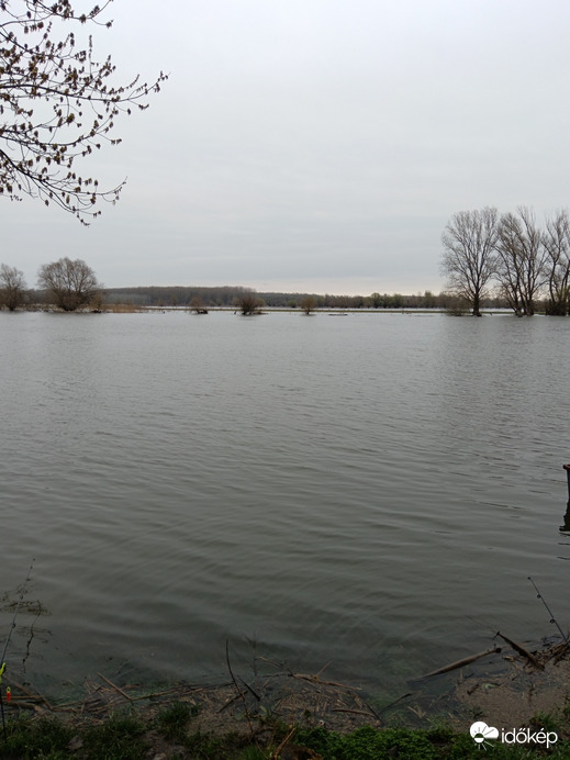 Tiszaalpár