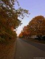 Vasút utca ősszel