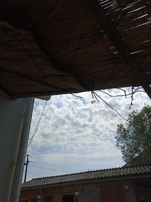 Füzesabony