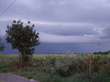 Kondoros