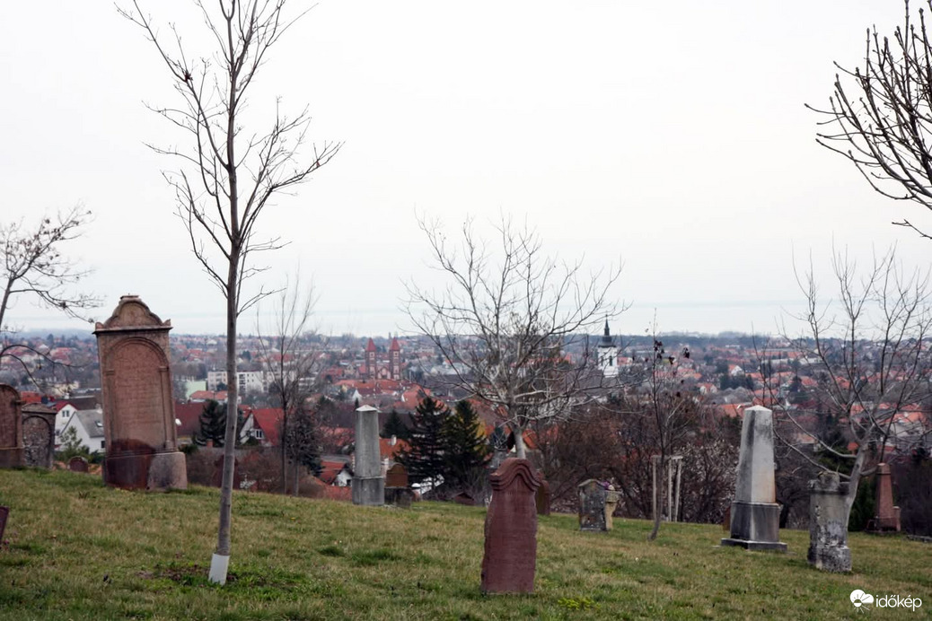 Füred a papsokai öreg temetőből 