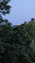 kronikas fotója