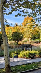 Erkel utca, Balatonfüred 