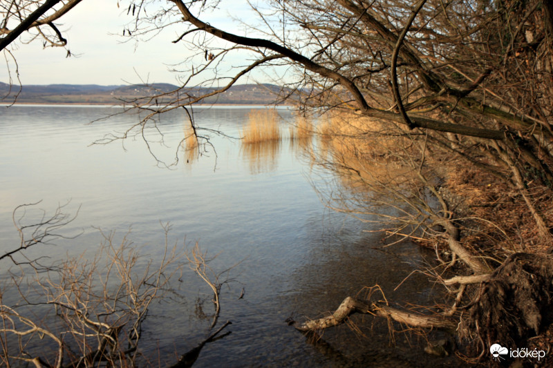 Sajkod