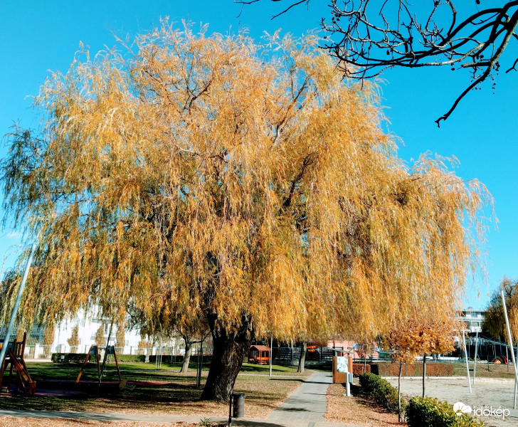 Esterházy strand 