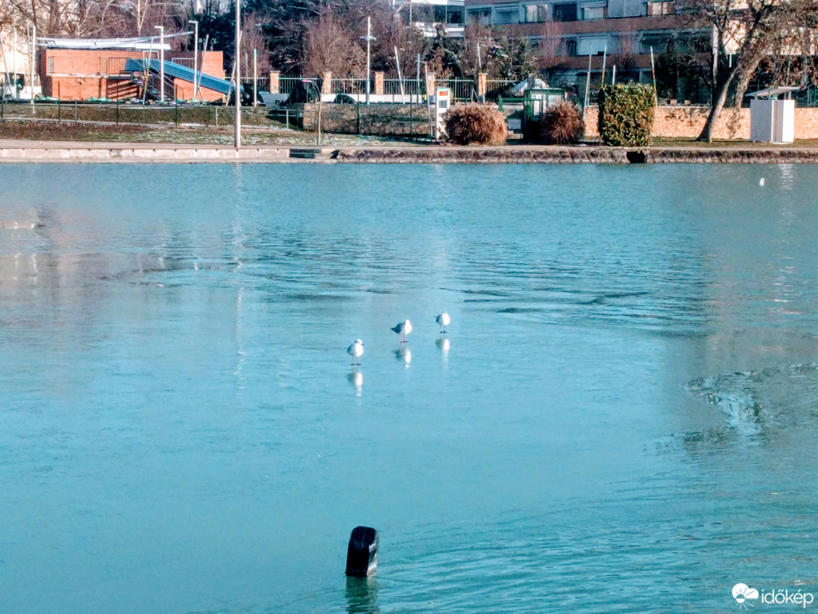 Csak a sirályokat bírta el a jég