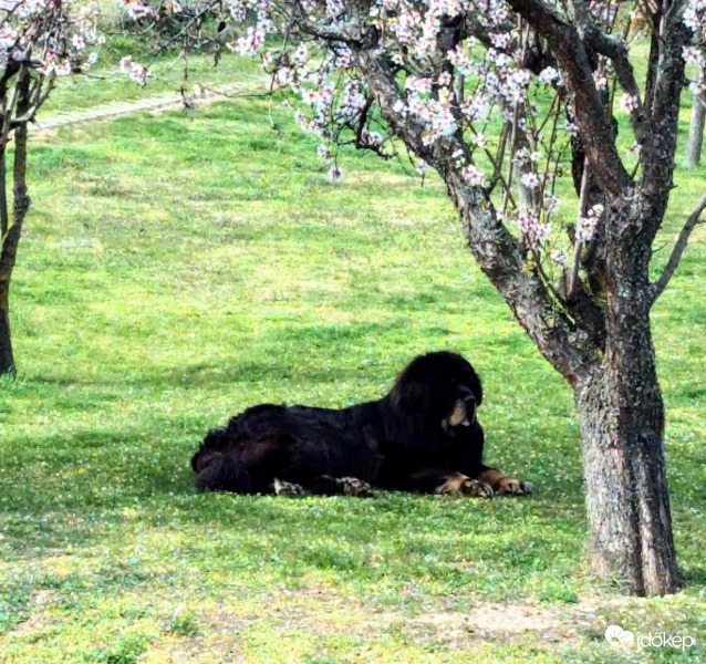 Bejöhetsz, ha mersz.