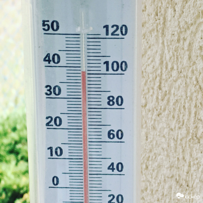 Arácsi, árnyékban