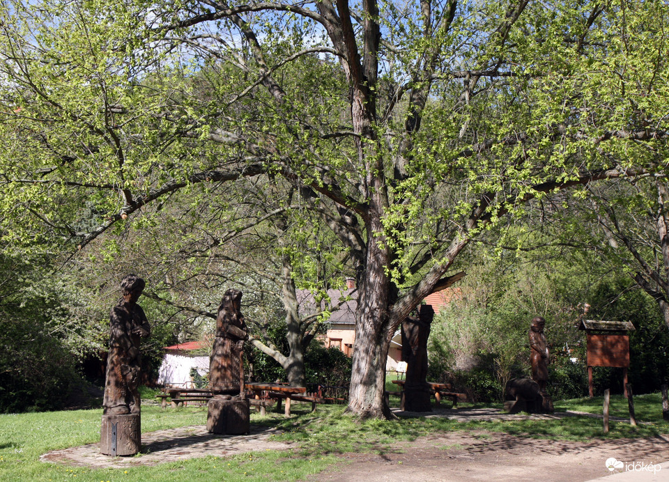 Arács