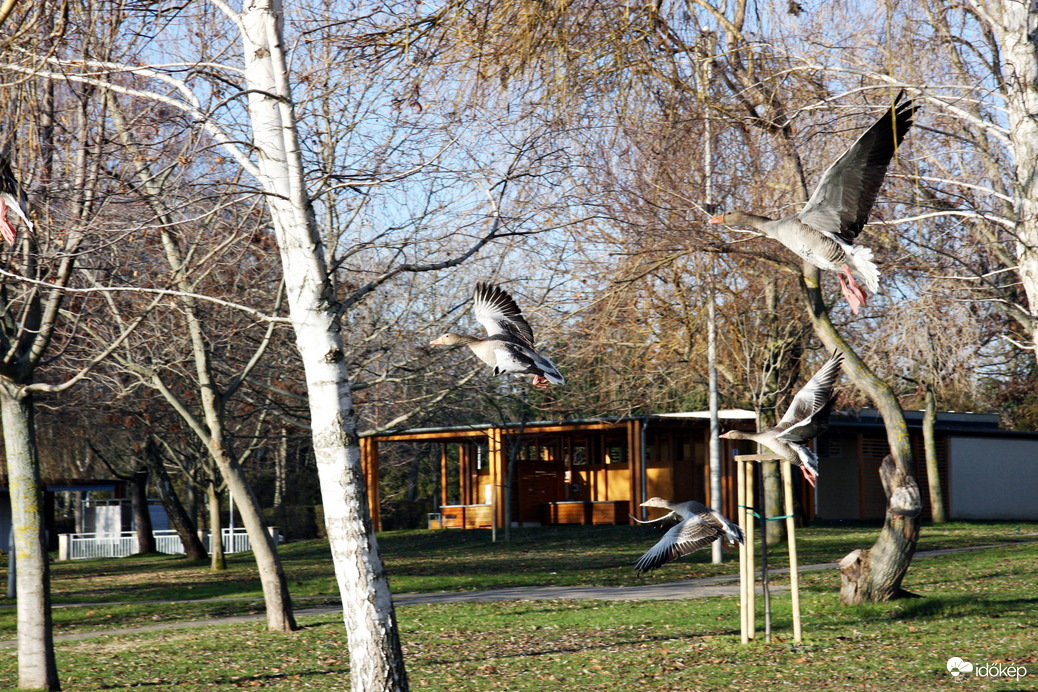A strand téli lakói