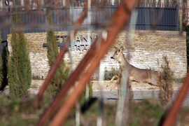 Hiába jött, Petrányiék zárva voltak...