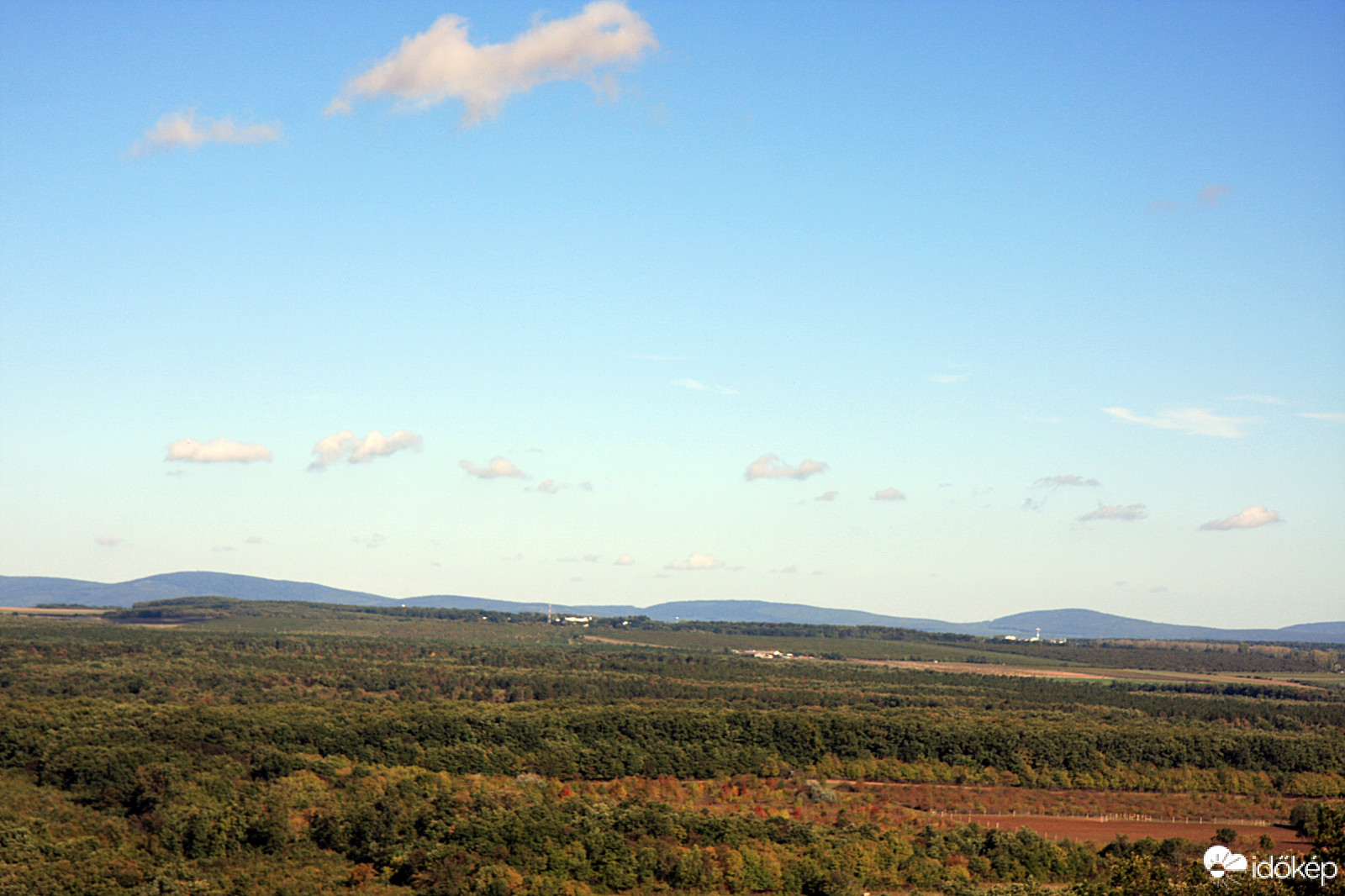 Bárányok a Bakony felett