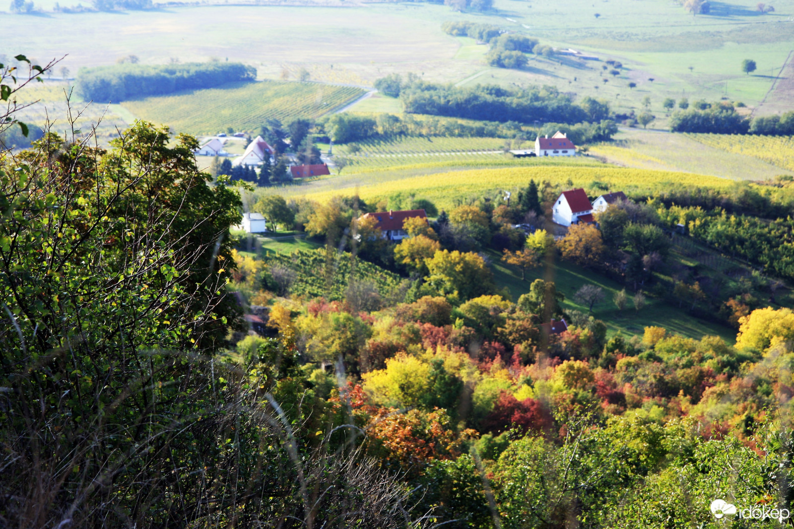 Ősz a Csobánc alján