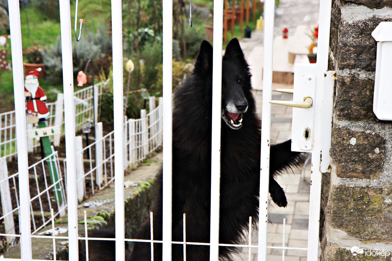 Nem látlak szívesen!