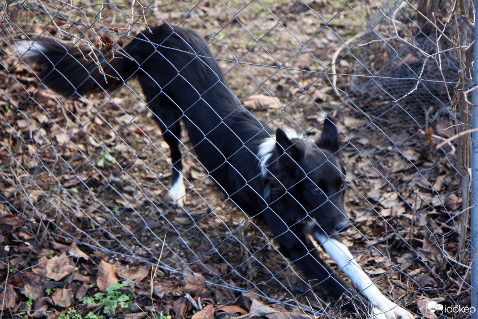 Gyere velem játszani!
