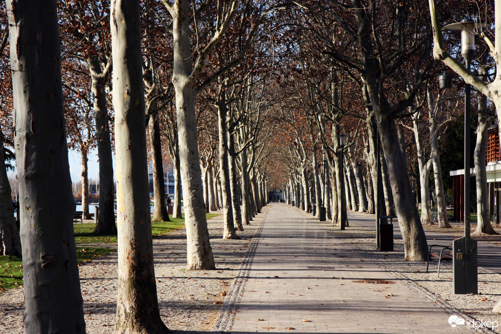 A kihalt Tagore sétány Karácsony másnapján