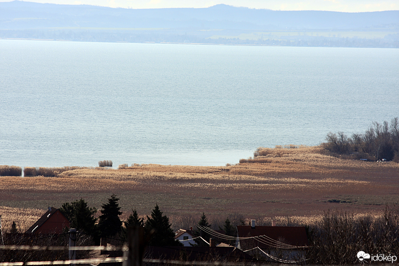 A Kerekedi öböl érintetlen nádasa