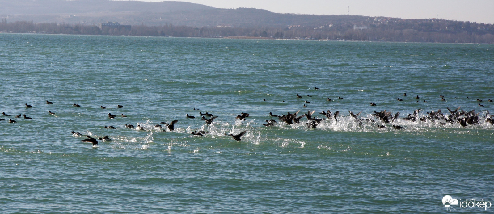 Fussunk, szaladjunk...