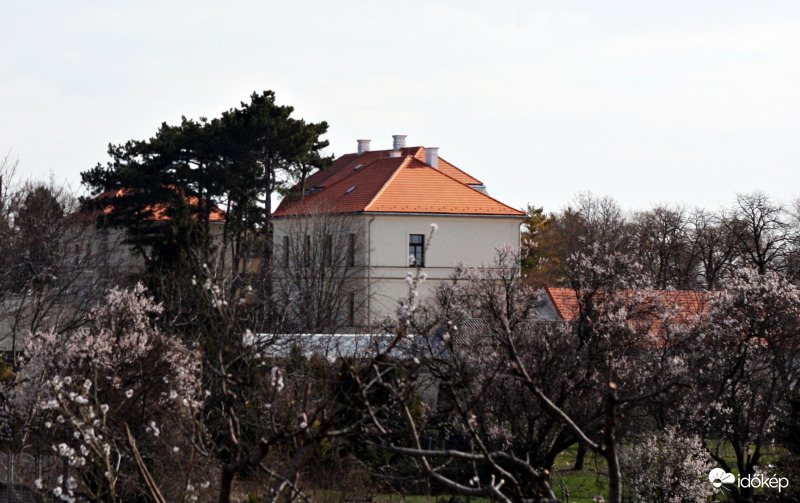 Arács, A Széchényi kastély épület együttese