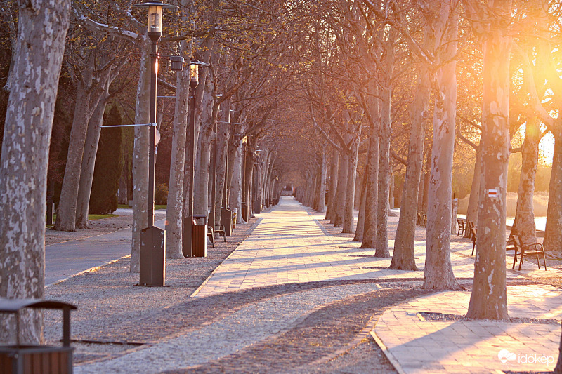 Tagore sétány a felkelő Nap fényében