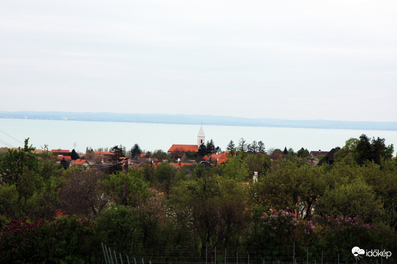 Paloznak
