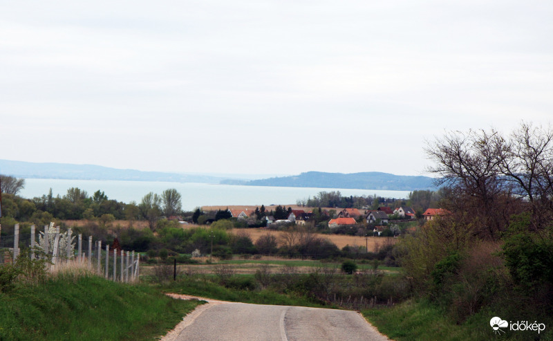 Balaton