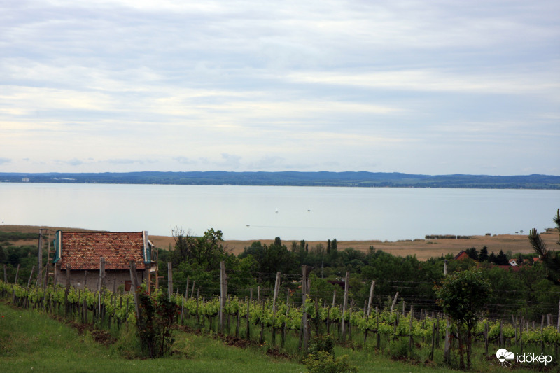Balaton