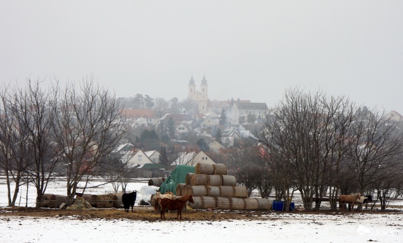 Apátság lovakkal