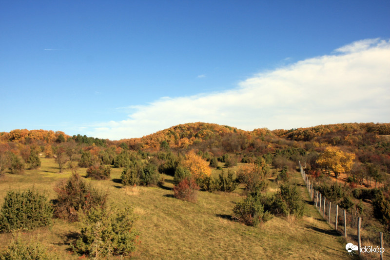Őszi erdő